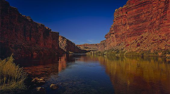 Environmental and Natural Resources Law