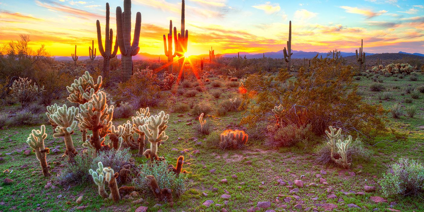 Environmental, Natural Resources  and Energy Attorney